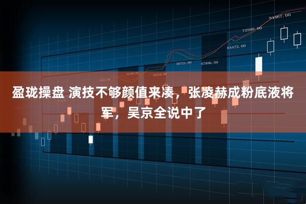盈珑操盘 演技不够颜值来凑，张凌赫成粉底液将军，吴京全说中了
