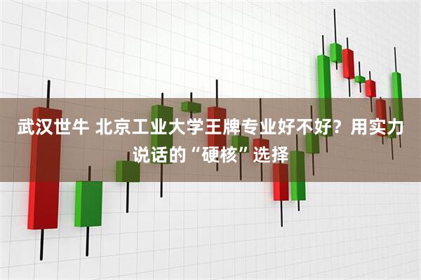 武汉世牛 北京工业大学王牌专业好不好？用实力说话的“硬核”选择