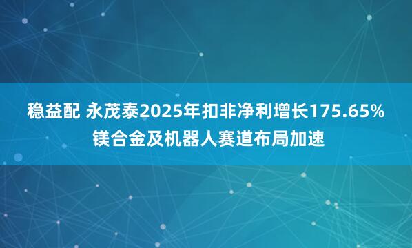 稳益配 永茂泰2025年扣非净利增长175.65% 镁合金及机器人赛道布局加速