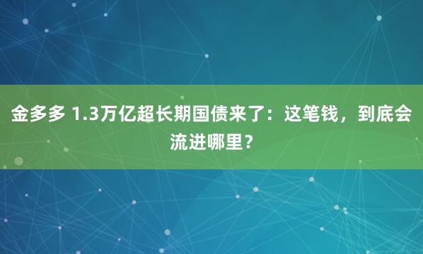 金多多 1.3万亿超长期国债来了：这笔钱，到底会流进哪里？
