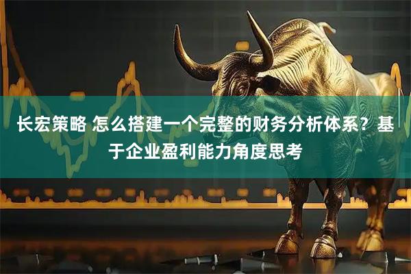 长宏策略 怎么搭建一个完整的财务分析体系？基于企业盈利能力角度思考