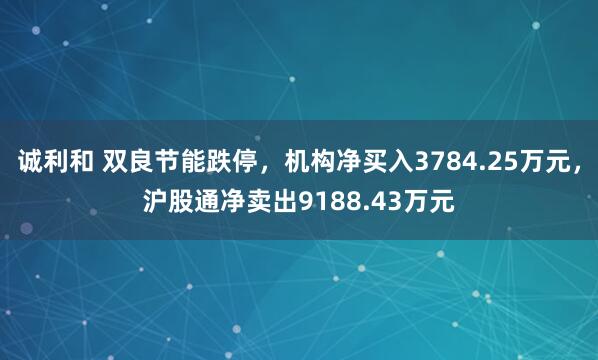 诚利和 双良节能跌停，机构净买入3784.25万元，沪股通净卖出9188.43万元