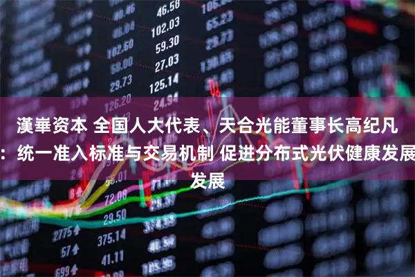 漢崋资本 全国人大代表、天合光能董事长高纪凡：统一准入标准与交易机制 促进分布式光伏健康发展