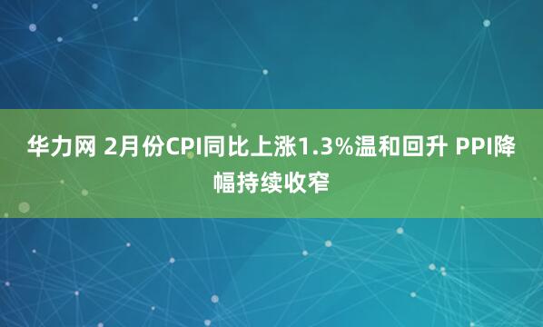 华力网 2月份CPI同比上涨1.3%温和回升 PPI降幅持续收窄
