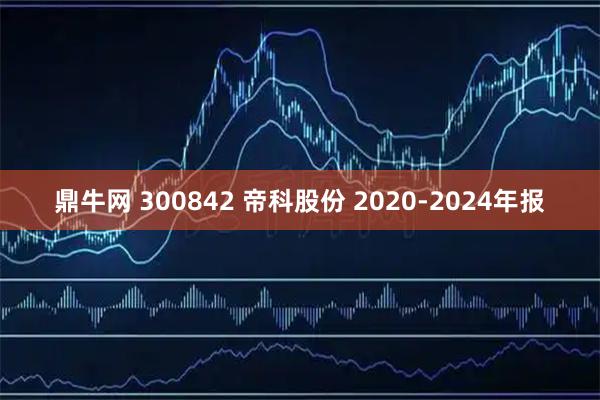 鼎牛网 300842 帝科股份 2020-2024年报