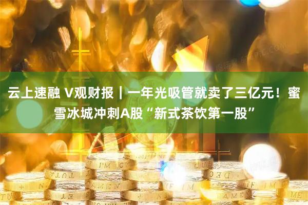 云上速融 V观财报｜一年光吸管就卖了三亿元！蜜雪冰城冲刺A股“新式茶饮第一股”