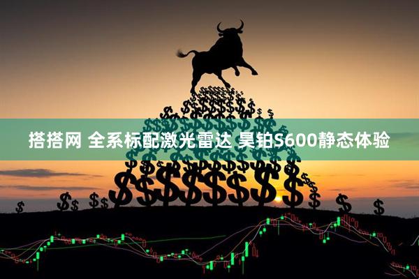 搭搭网 全系标配激光雷达 昊铂S600静态体验